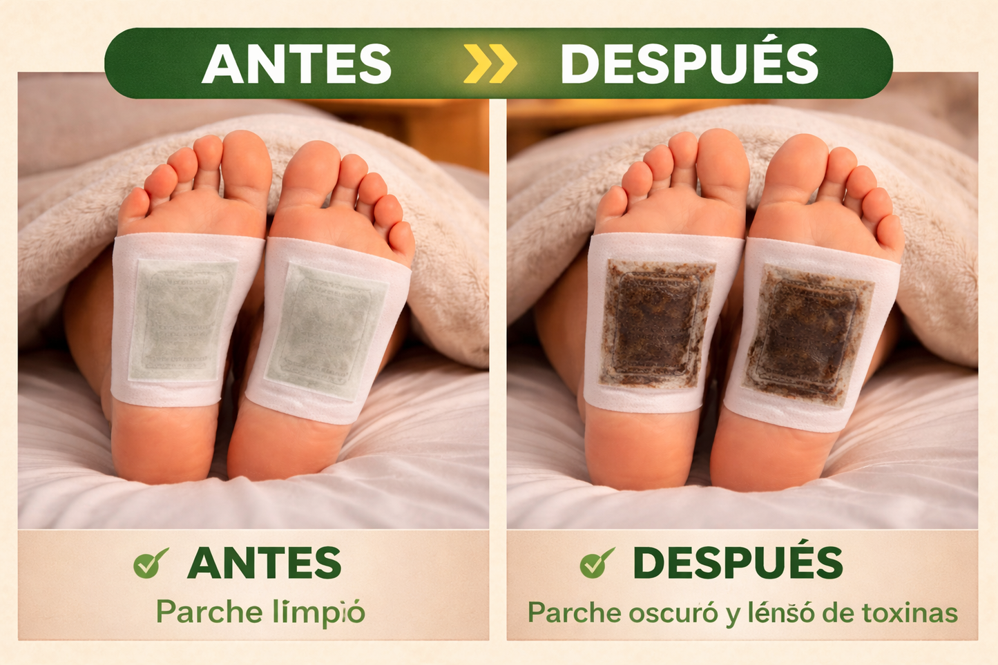 PARCHE KINOKI PRIMIUN  DESINTOXICANTE