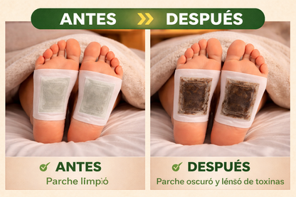 PARCHE KINOKI PRIMIUN  DESINTOXICANTE